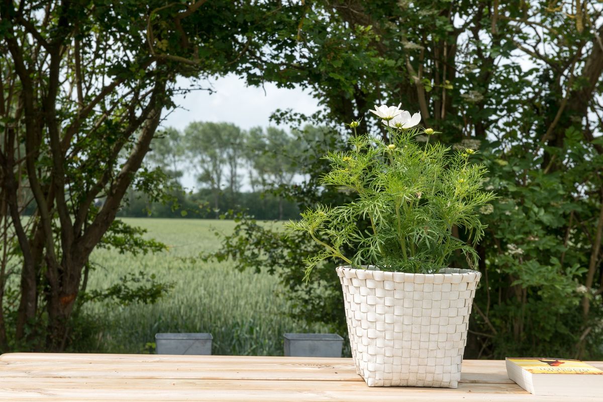 Arreglo floral blanco sobre mesa de jardín con vistas al campo abierto – Zeeuwshuisje casa de vacaciones, Koudekerke